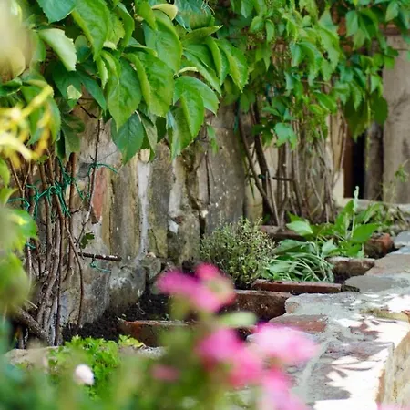 La Petriola Casa de Férias